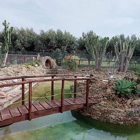 كاستيلاّماري ديل غو Villa Michelangelo المظهر الخارجي الصورة